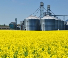 Agriculture | Sokerol - Oil Absorbents for Chemical & Oil Spills