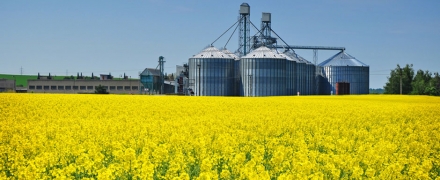 Agriculture | Sokerol - Oil Absorber for Chemical & Oil Spills